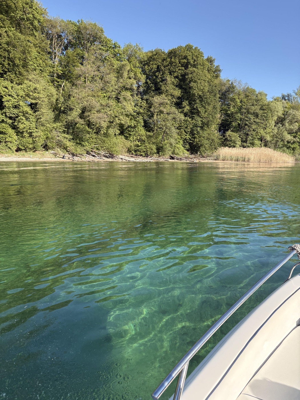 Rheinfahrt