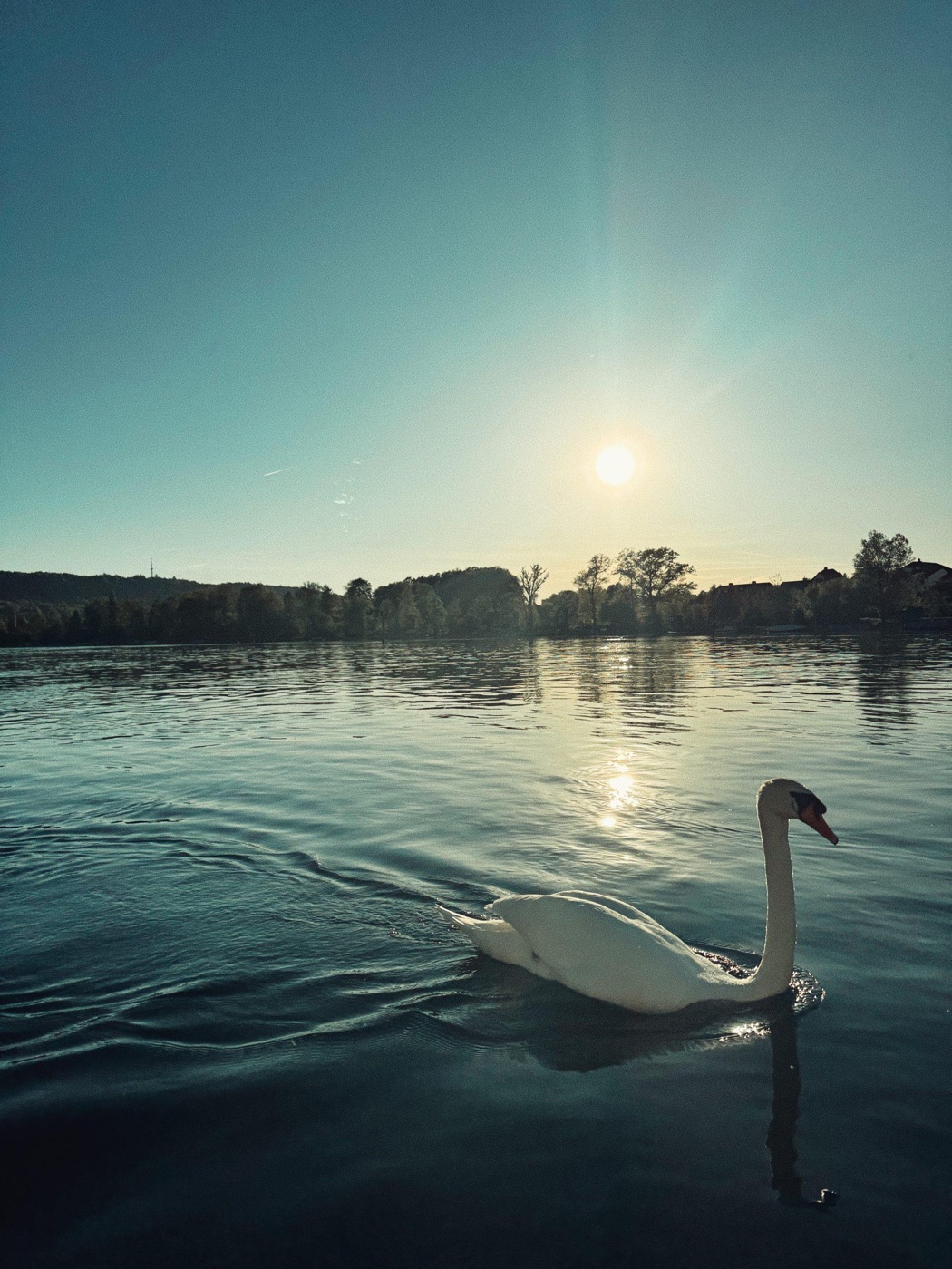 Sonnenuntergang auf dem Bodensee